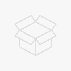 Nike Air Jordan 1 Retro High OG A Star is Born